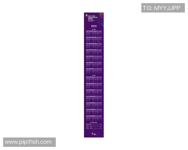 深圳羽毛球队战术实力强劲荣登全国羽毛球战术排行榜第八名
