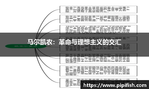 马尔凯农：革命与理想主义的交汇