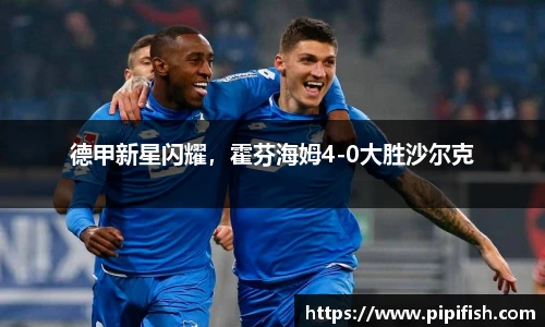 德甲新星闪耀，霍芬海姆4-0大胜沙尔克