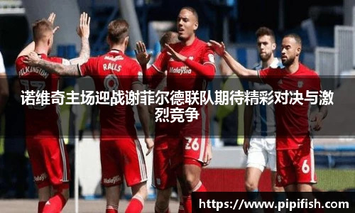 诺维奇主场迎战谢菲尔德联队期待精彩对决与激烈竞争