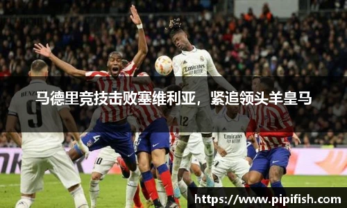博鱼.体育官网